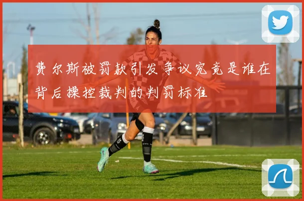 费尔斯被罚款引发争议究竟是谁在背后操控裁判的判罚标准