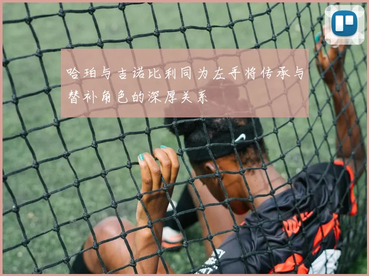 哈珀与吉诺比利同为左手将传承与替补角色的深厚关系